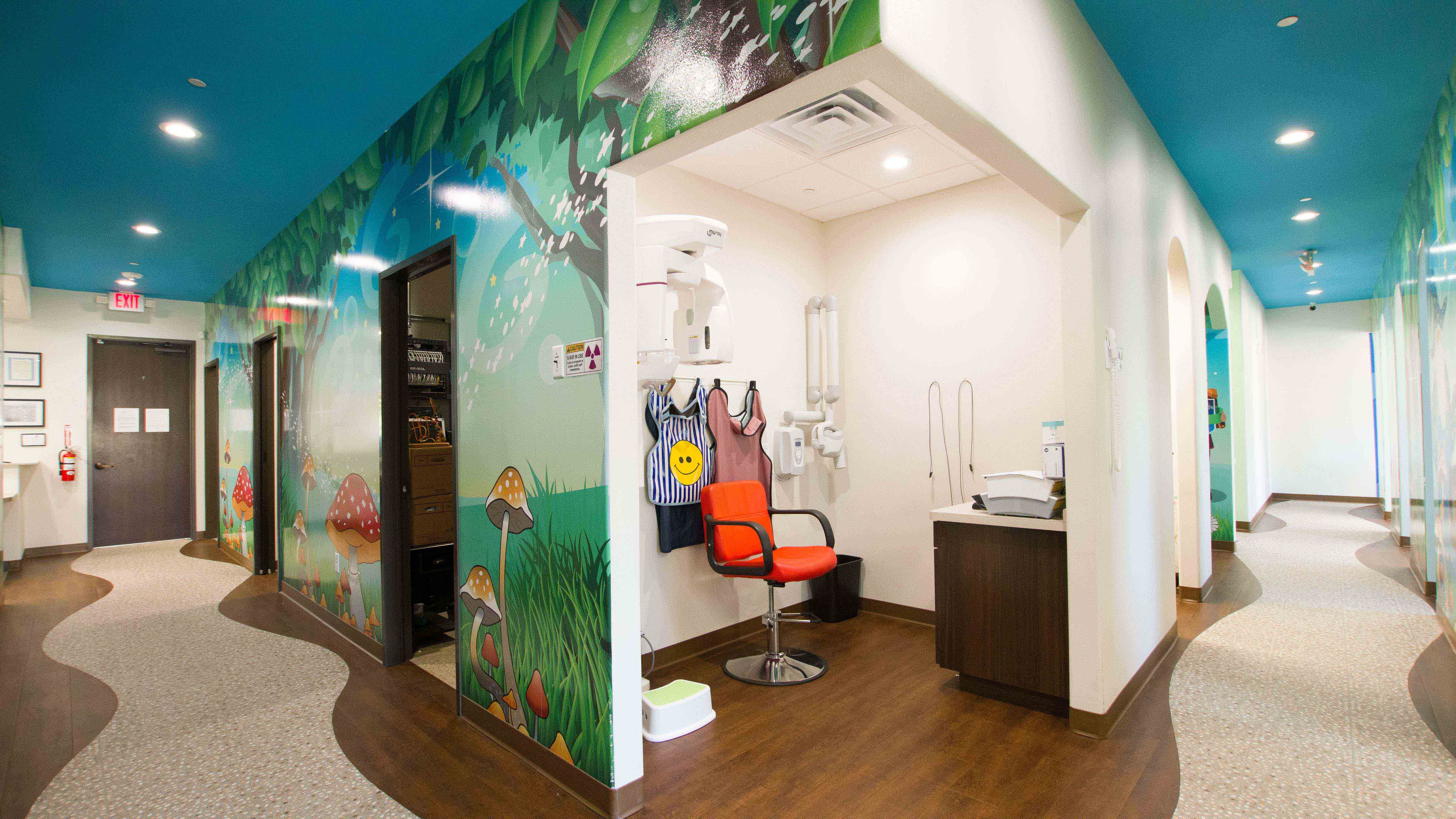 Dragons patined on dental treatment room walls